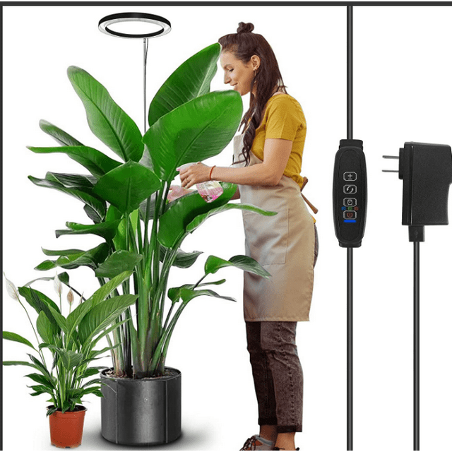 LED Grow Lights for Indoor Plants, with Auto on/off 3/9/12H Time for Indoor Succulent Plants Growth