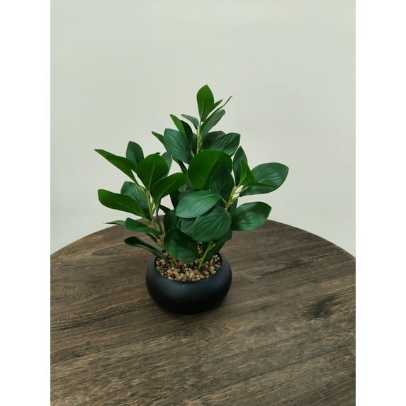 Scidweet Fake Plants, Artificial Small Pot Plants with Black Clay Planter Indoor Office Table Kitchen Bathroom Home Decor