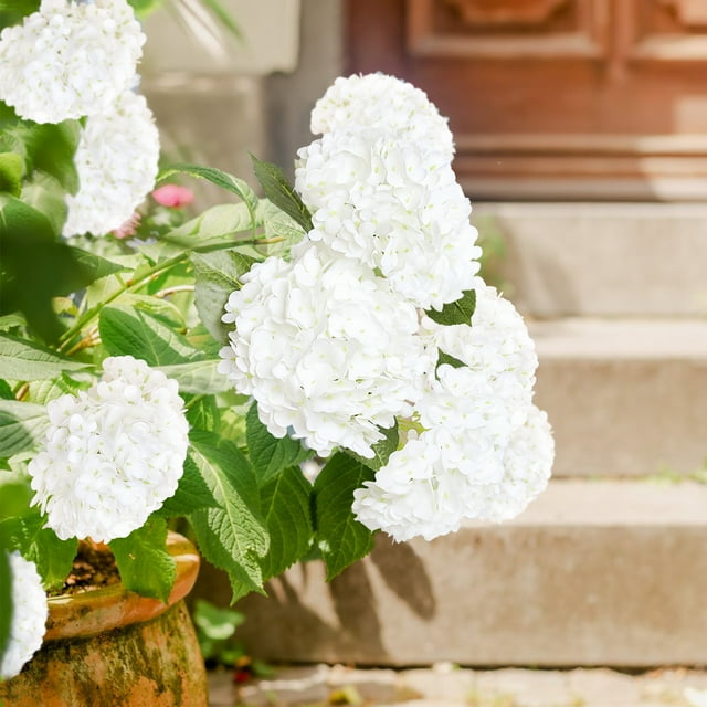 Scidweet 4 Pcs Artificial Hydrangea Fake Flowers, 19.3" Real Touch Latex Faux Plants Fake Hydrangea Flowers for Spring Summer Indoor Outdoor Home Table Wedding Decoration, White