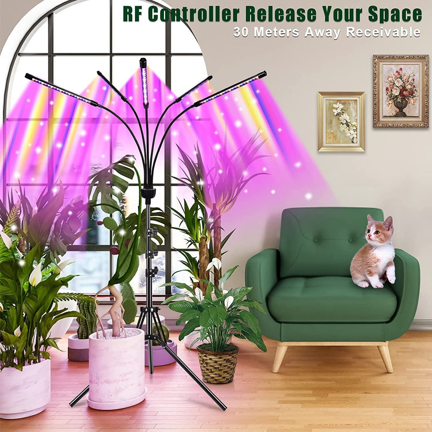 Grow Lights for Indoor Plants,5 Heads Red Blue White Full Spectrum Plant Light Indoor Grow Lamp with Remote Control and Auto On/Off Timer Function