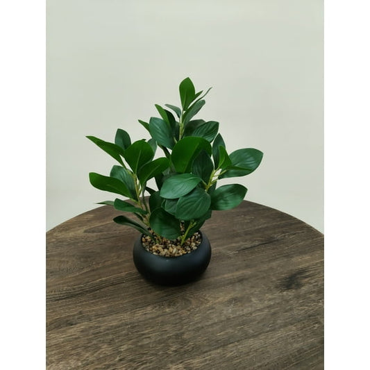 Scidweet Fake Plants, Artificial Small Pot Plants with Black Clay Planter Indoor Office Table Kitchen Bathroom Home Decor